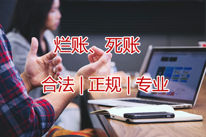 玄武清债公司